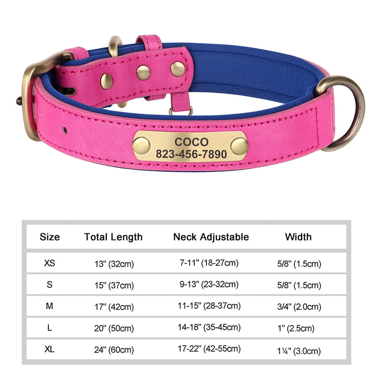Pink and blue dog collar with a nameplate and size chart on a white background