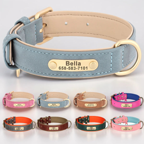 Collection of dog collars with engraved names and phone numbers on a light gray background