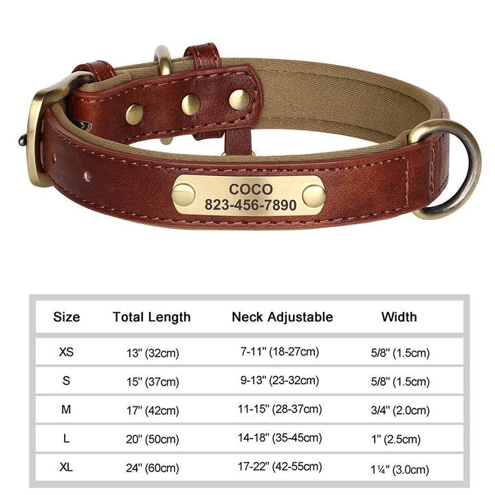 Brown leather dog collar with brass tag and size chart on a white background