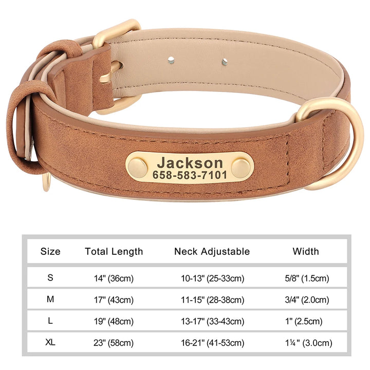 Brown leather dog collar with gold nameplate and size chart on a white background