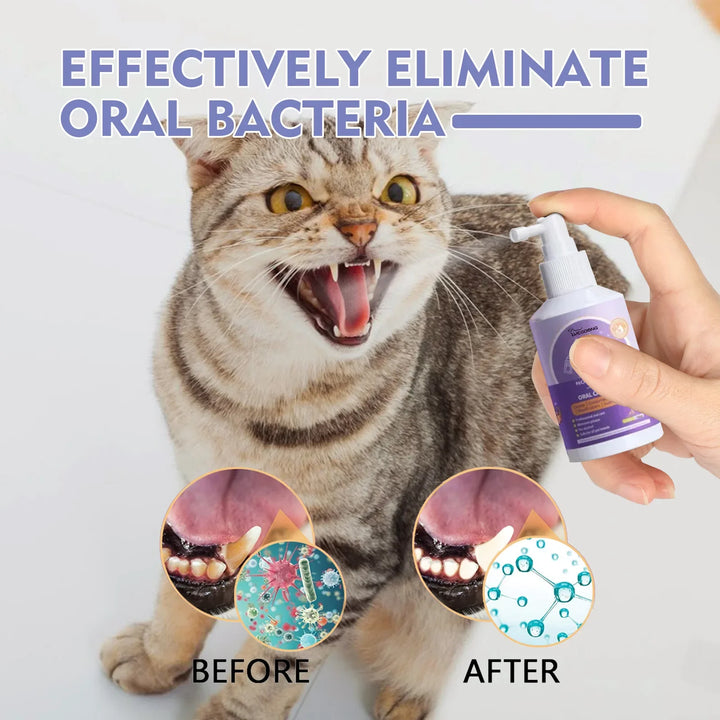 Cat with open mouth, before and after images of dental care.
