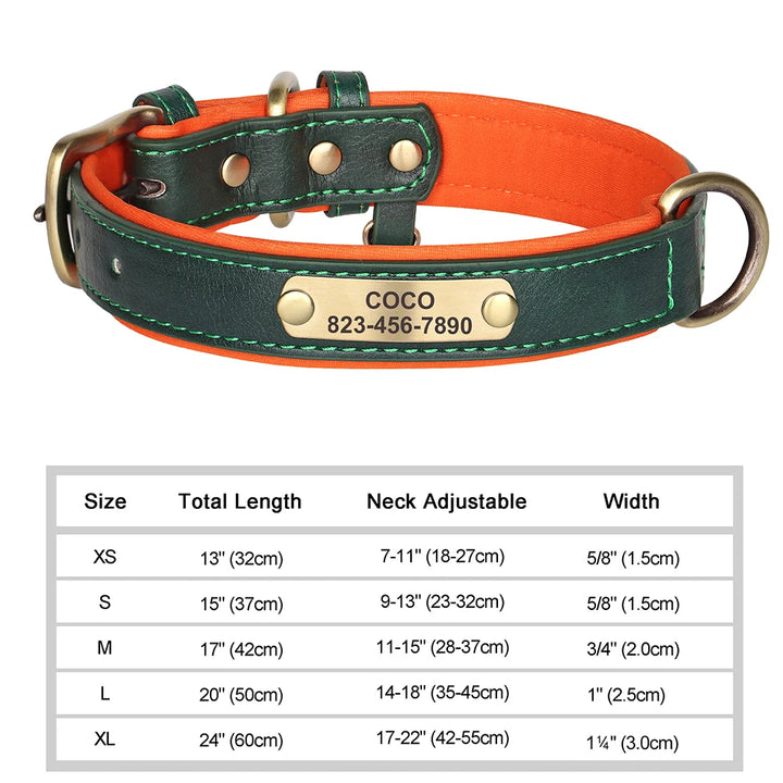 Green and orange leather dog collar with brass hardware and size chart on a white background