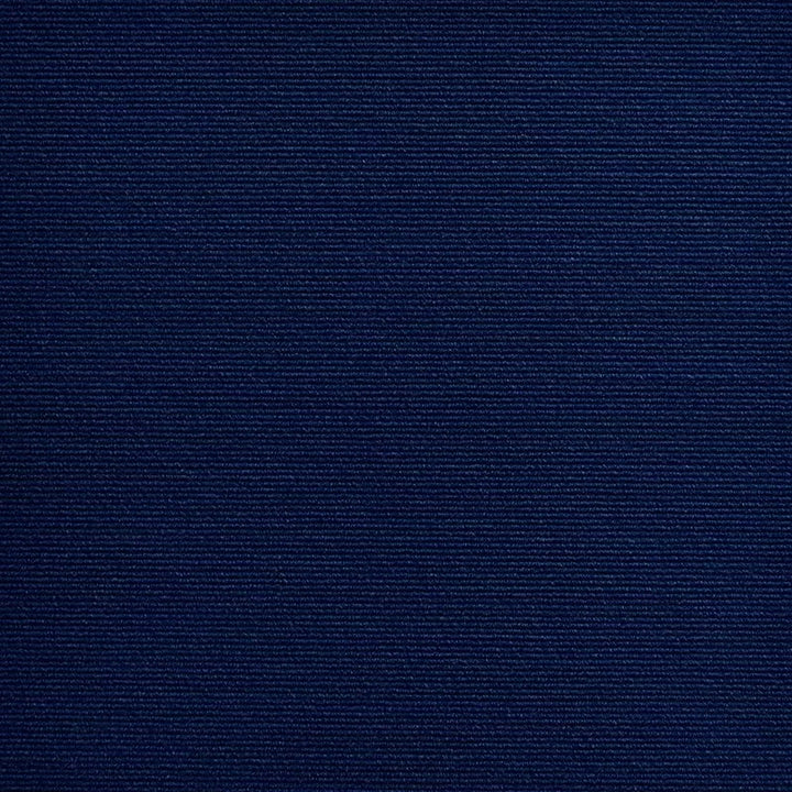 Blue Cat Scratching Mat