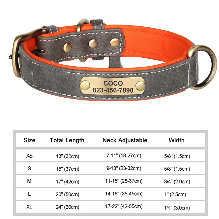 Gray and orange dog collar with a nameplate and size chart on a white background