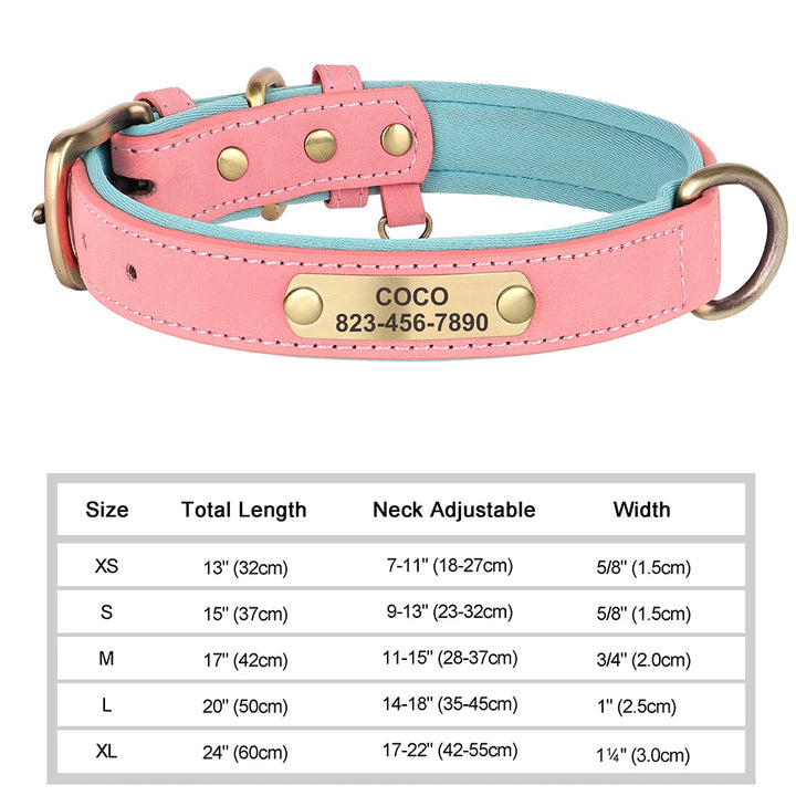 Pink and blue dog collar with nameplate and size chart on a white background