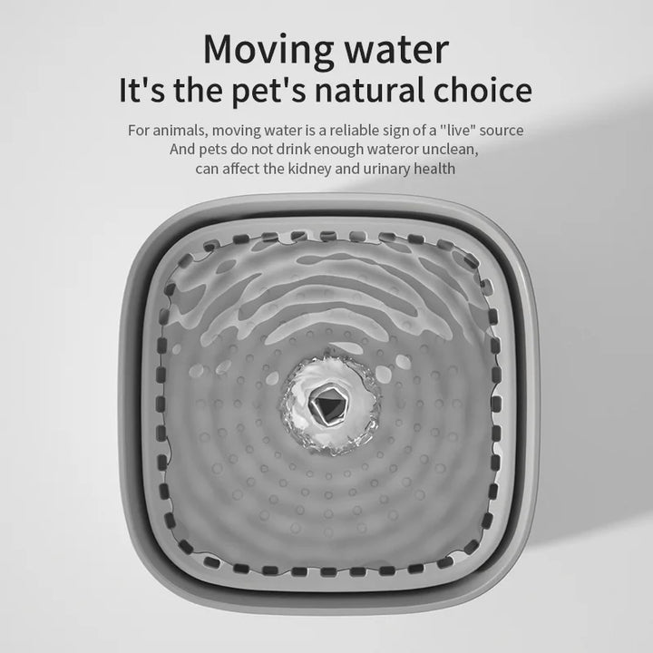 Cat water fountain with moving water