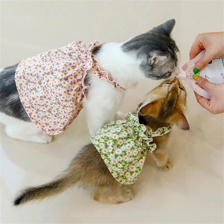 Two cats wearing floral cat dreses