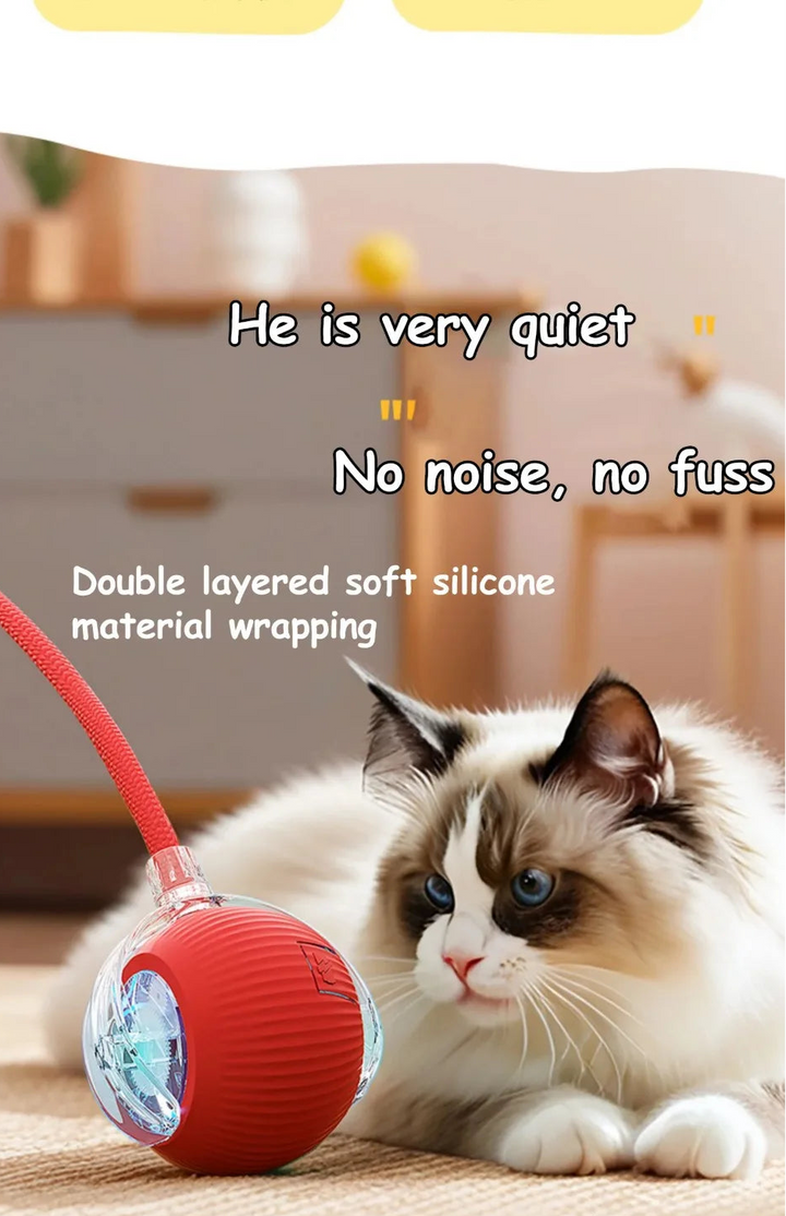 Cat watching quiet interactive cat ball toy with soft silicone wrapping, automatic rolling design for silent playtime.

