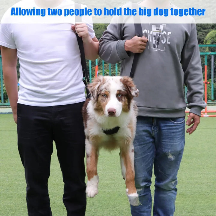 Two people holding a dog together  with a dog lifting harness