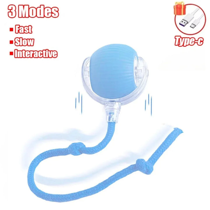 Blue Interactive Cat Ball Toy