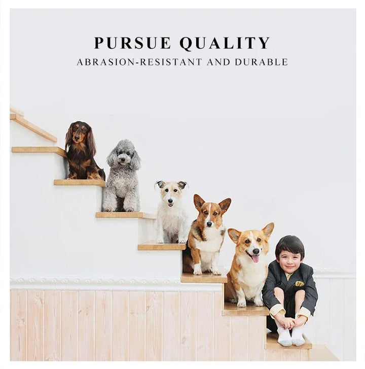 Five dogs on a set of stairs 