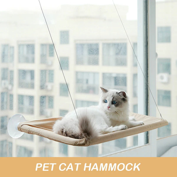 Cat lounging on a pet cat hammock 