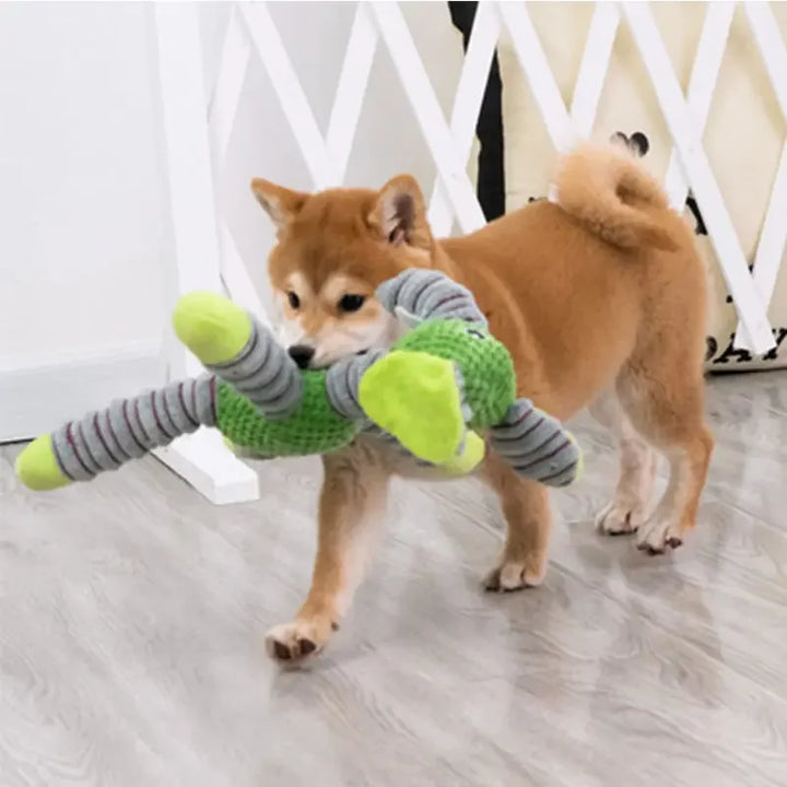 Dog walking with indestructible squeaky dog chew toy