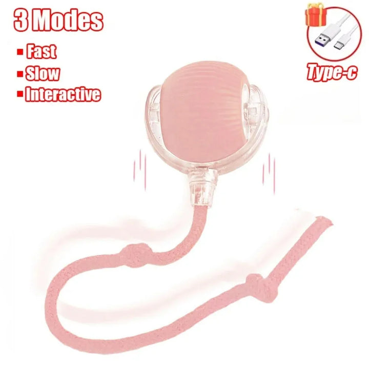 Pink Interactive Cat Ball Toy