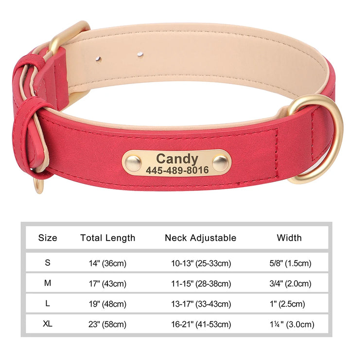 Red dog collar with beige accents and a gold nameplate on a white background