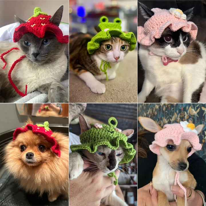 Pictures of cats and dogs wearing colorful knitted hats and Crochet Pet Hats