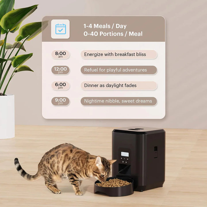 Cat eating dry food from smart automatic feeder