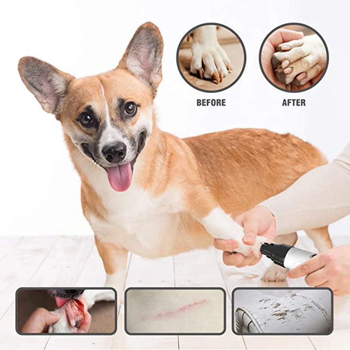 Dog being groomed with Electric dog nail grinder 'Before' and 'After' images showing paw care.