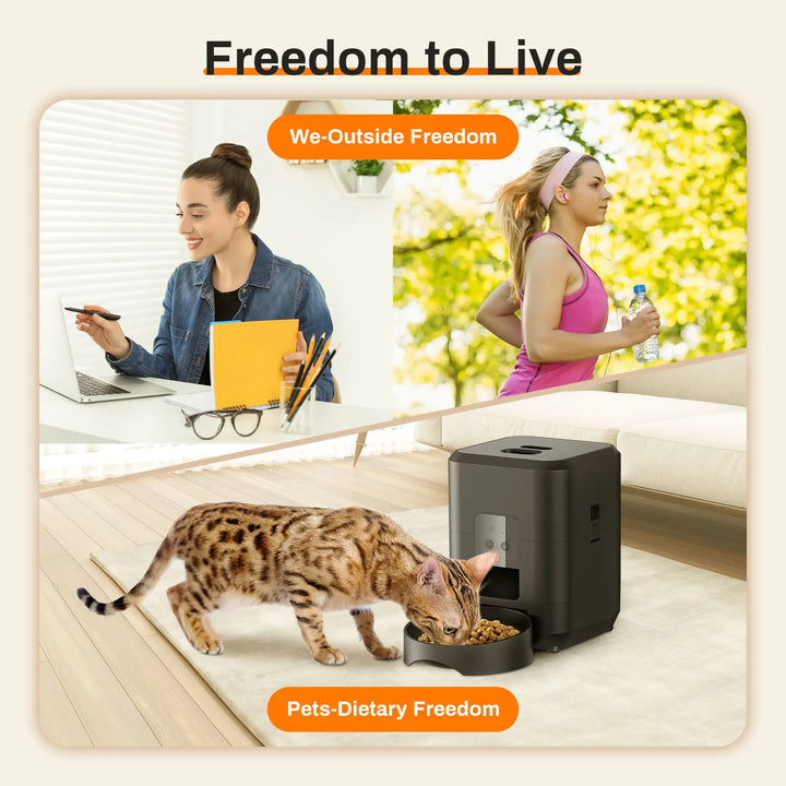 Cat eating from a feeder, busy people don't have to worry about cat's meal.