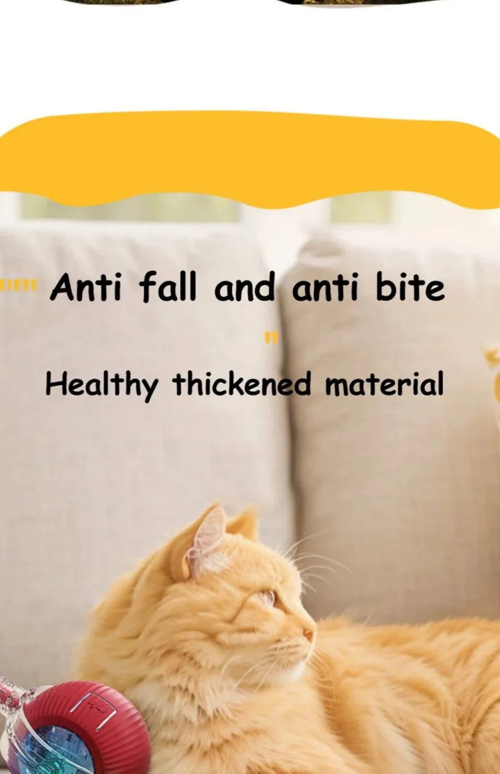 Interactive cat ball toy with anti-fall and anti-bite features.