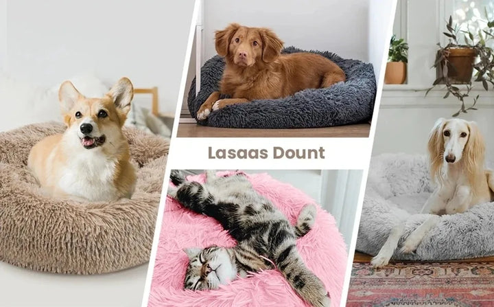 Pictures of cat and dogs on the Round Dog Bed