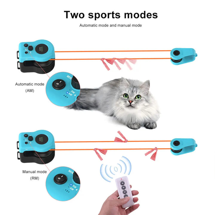 Remote-Controlled Cat Toy and two modes labeled 'Automatic mode' and 'Manual mode' on a white background.