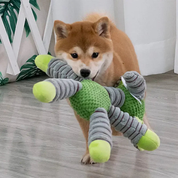 Dog playing with indestructible squeaky dog chew toy