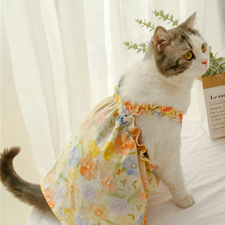 Cat wearing a orange floral dress 