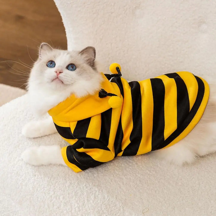 Cat wearing a yellow and black striped bee 