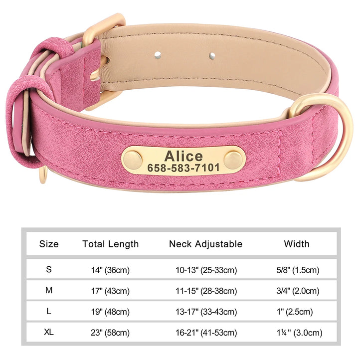 Pink dog collar with gold nameplate and size chart on a white background