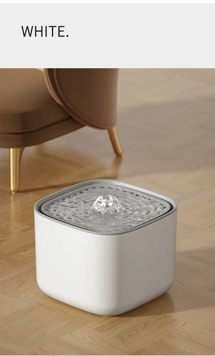 White cat water fountain