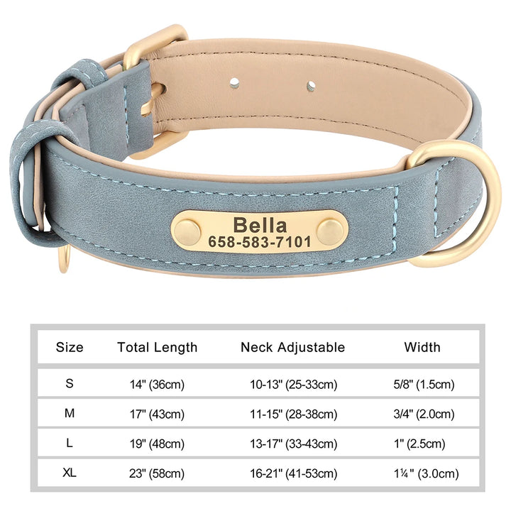 Grayish blue dog collar with gold nameplate and size chart on a white background