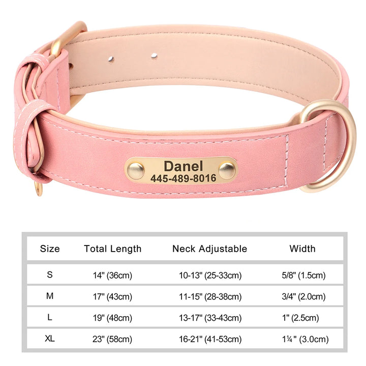 light Pink dog collar with gold nameplate and size chart on a white background