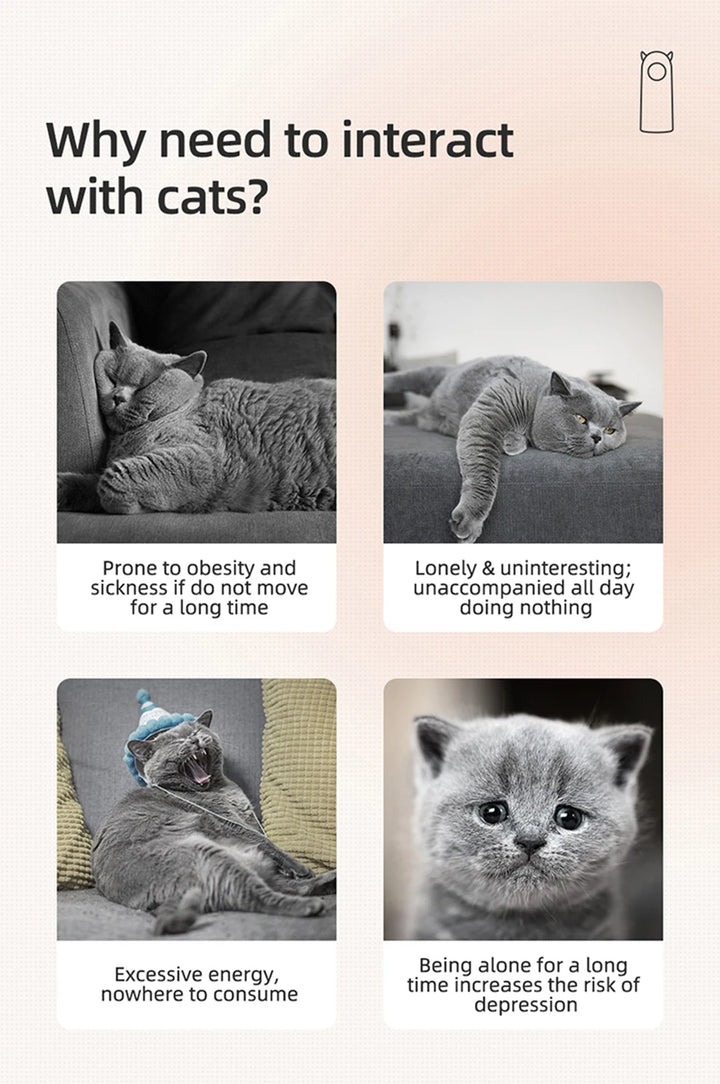 Sad images of cat not having any cat laser toy