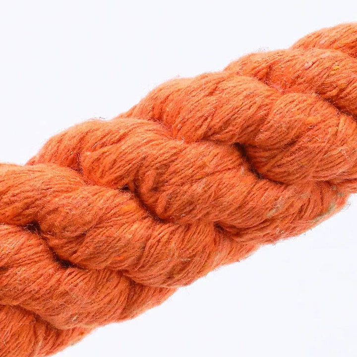 Close-up of a Durable Dog Toy