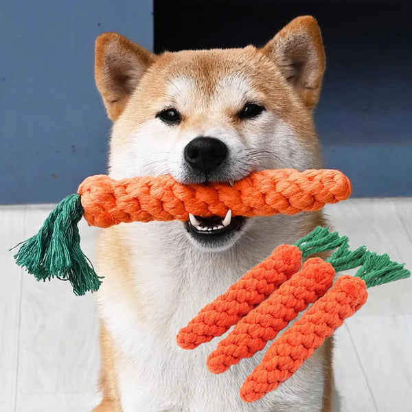 Dog holding a Durable carrot-shaped dog toy in its mouth 
